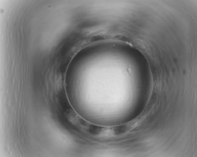 X0000088580335200706011119