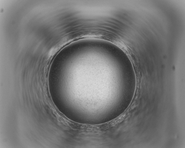 X0000088580337200706011118