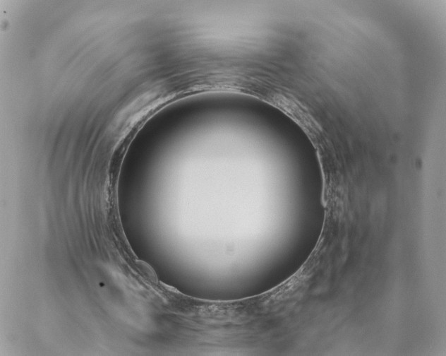 X0000088580338200706011118