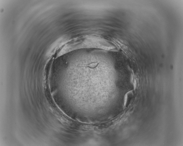 X0000088580339200706011118