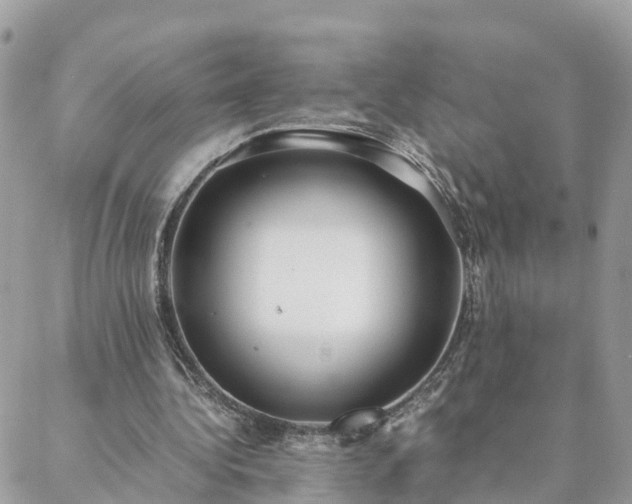 X0000088580340200706011118