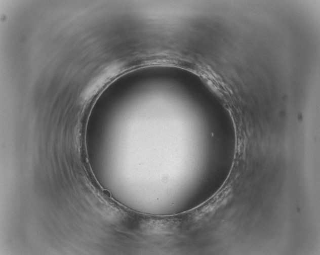 X0000088580341200706011118