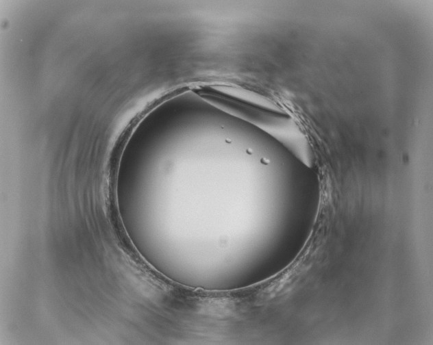 X0000088580342200706011118