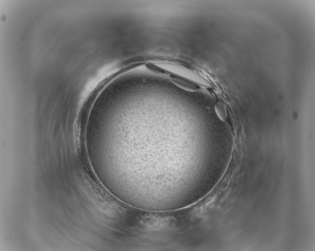 X0000088580343200706011118