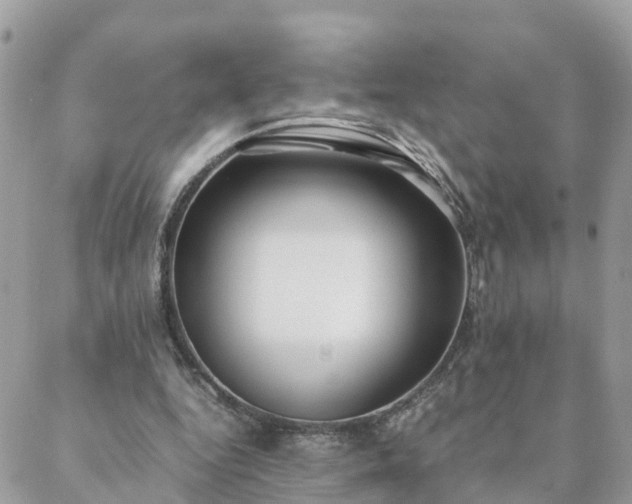 X0000088580344200706011118