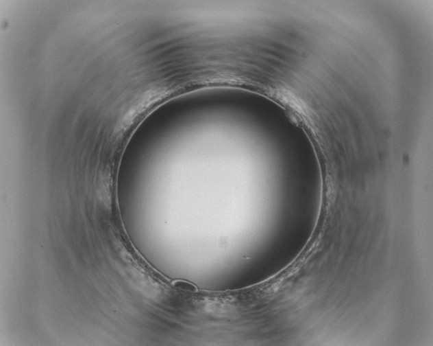 X0000088580345200706011118