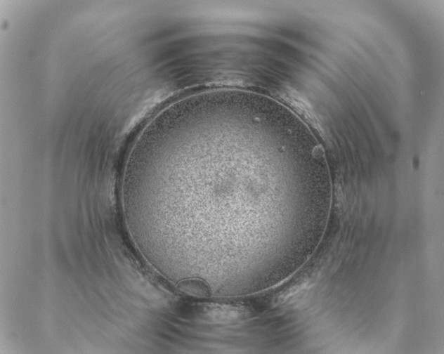 X0000088580347200706011118