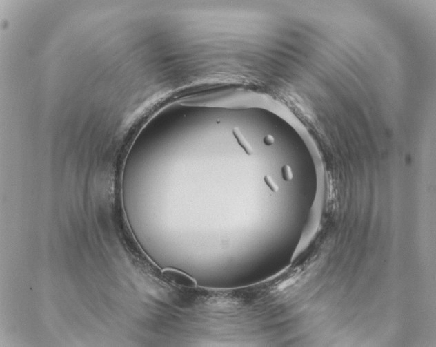 X0000088580348200706011118