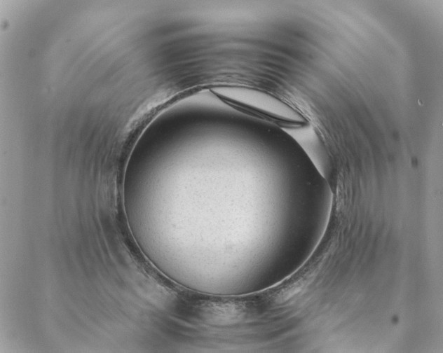 X0000088580349200706011118