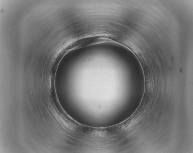 X0000088580350200706011118