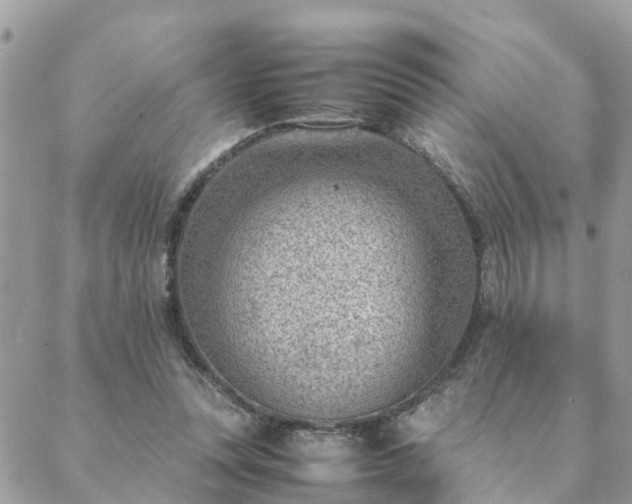 X0000088580351200706011118