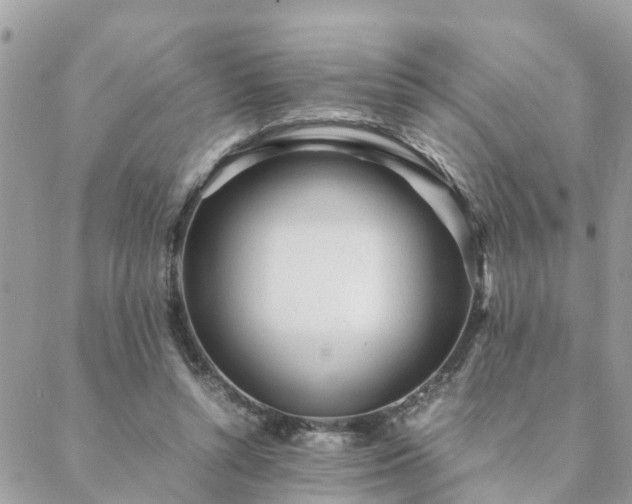 X0000088580352200706011118