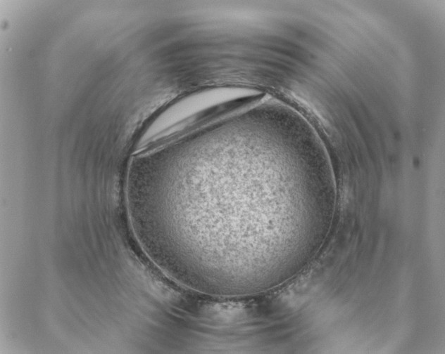 X0000088580353200706011118