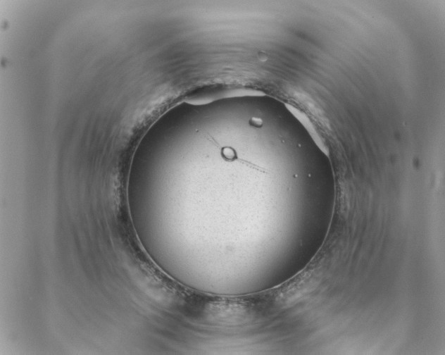 X0000088580354200706011118