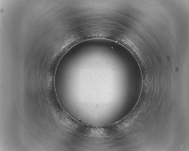 X0000088580355200706011118