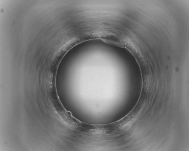 X0000088580356200706011118