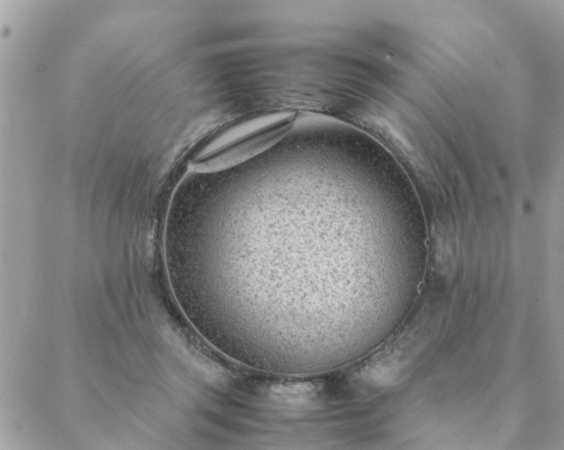 X0000088580357200706011118