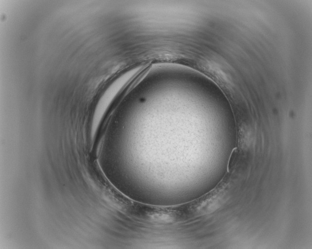 X0000088580358200706011118