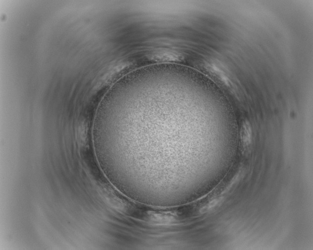 X0000088580359200706011118