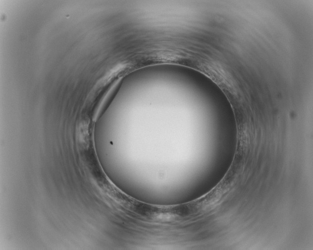 X0000088580360200706011118