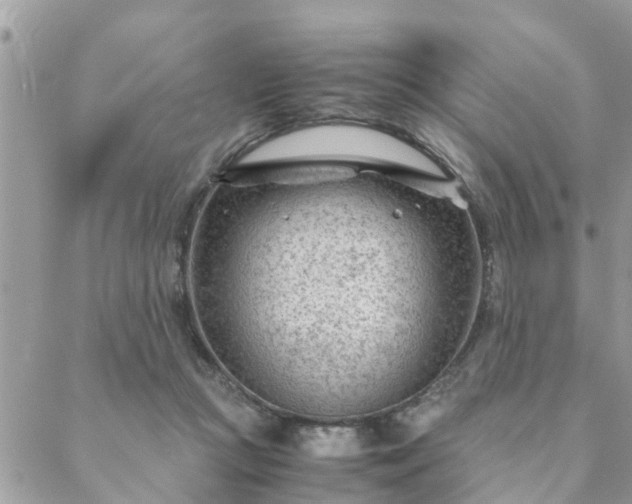 X0000088580361200706011118