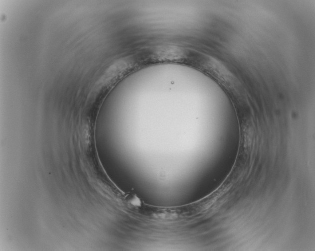 X0000088580362200706011118