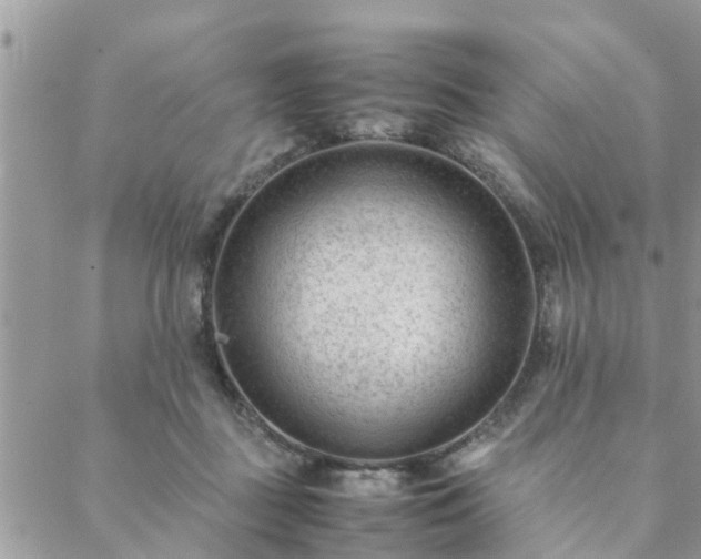 X0000088580363200706011118