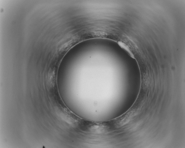 X0000088580364200706011118