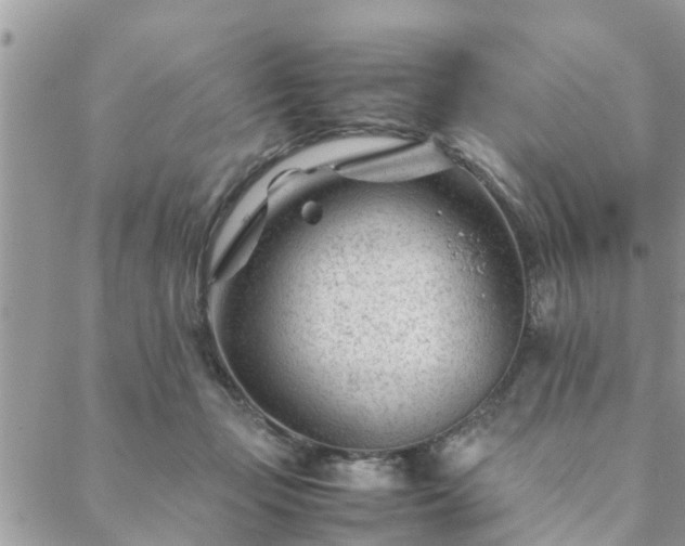 X0000088580365200706011118