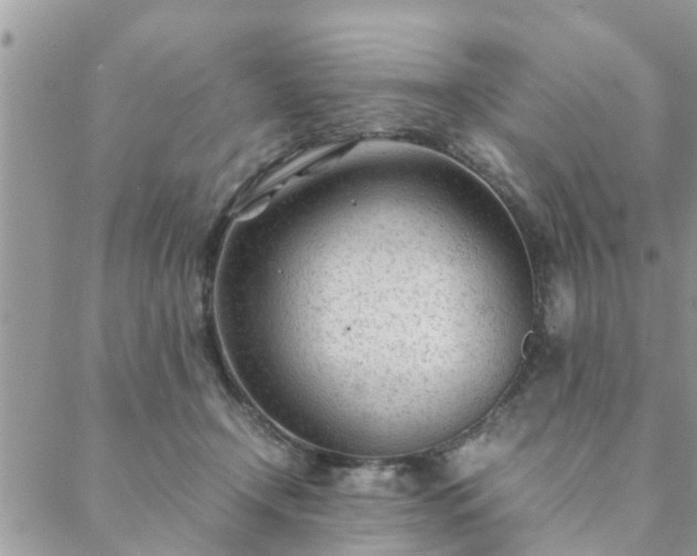 X0000088580366200706011118