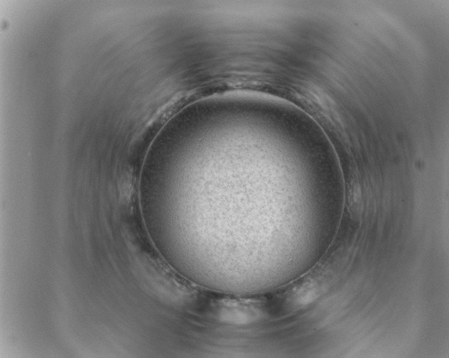 X0000088580367200706011118