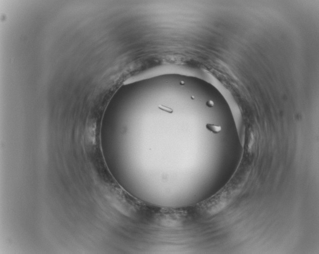 X0000088580368200706011118