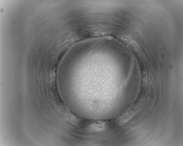 X0000088580369200706011118