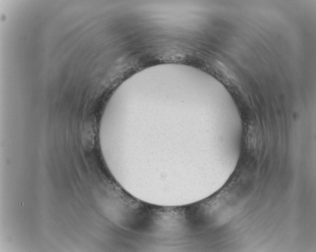 X0000088580370200706011119