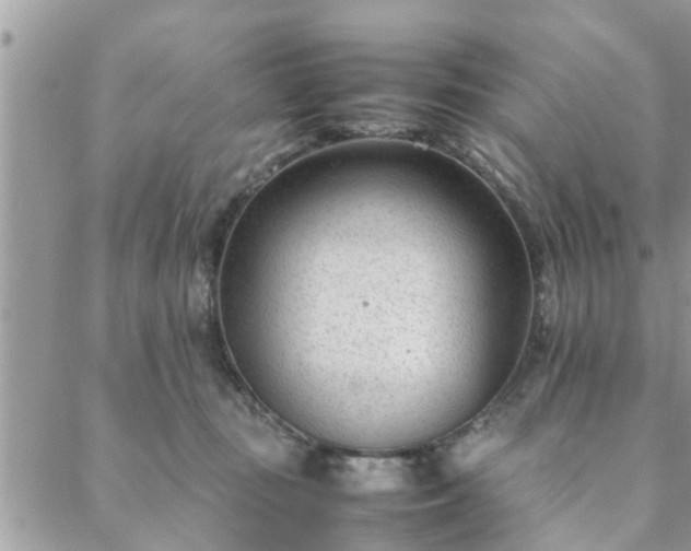 X0000088580371200706011119