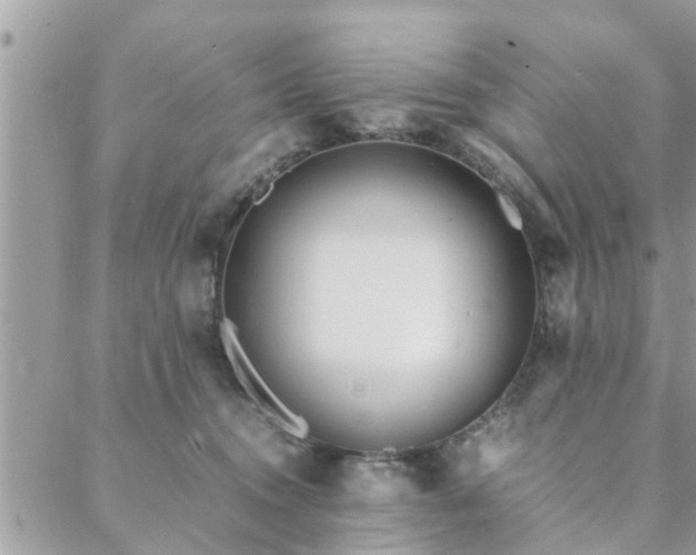 X0000088580372200706011119