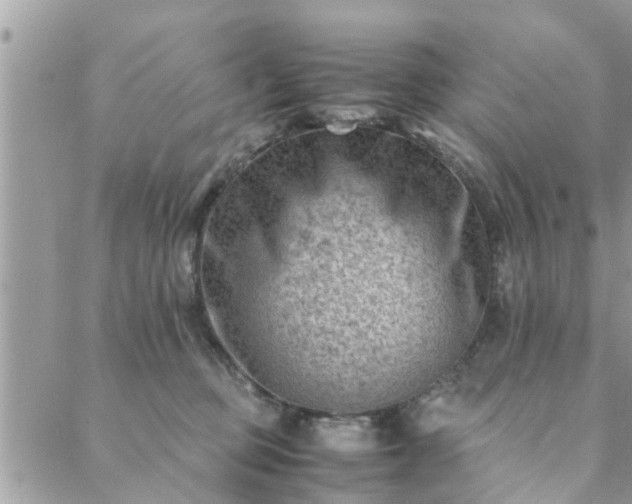 X0000088580373200706011119