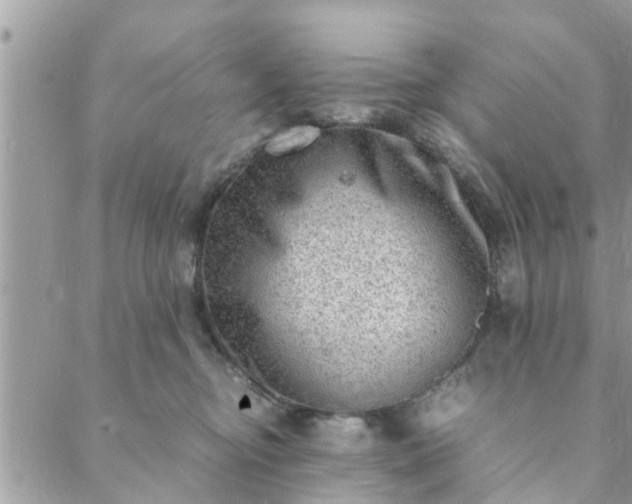 X0000088580374200706011119