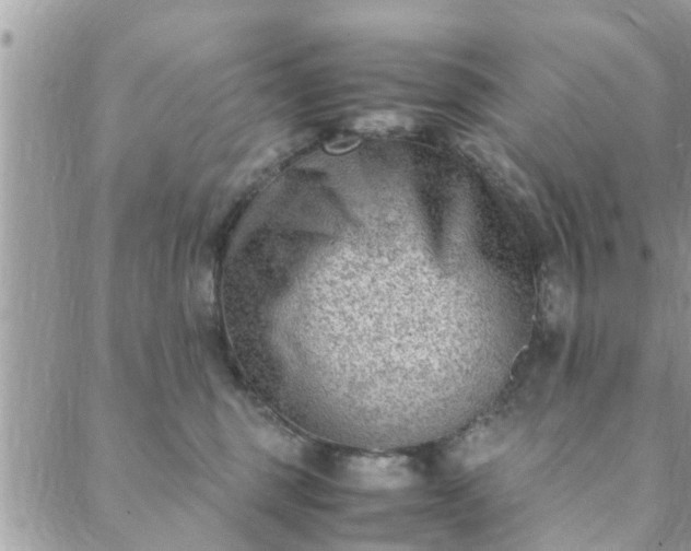 X0000088580375200706011119