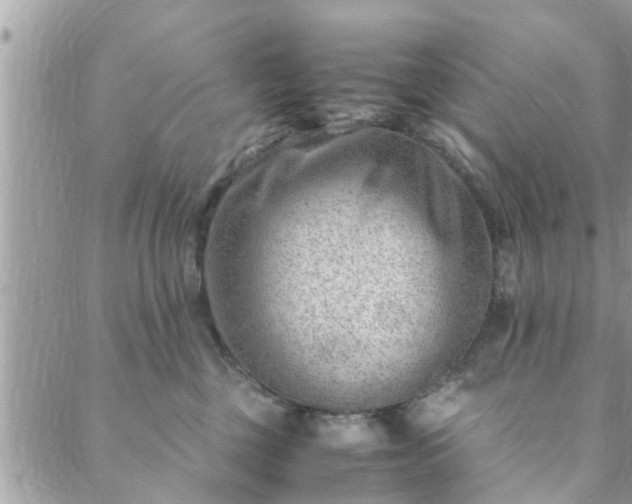 X0000088580377200706011119