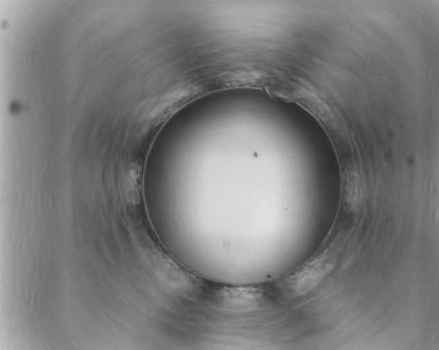 X0000088580378200706011119