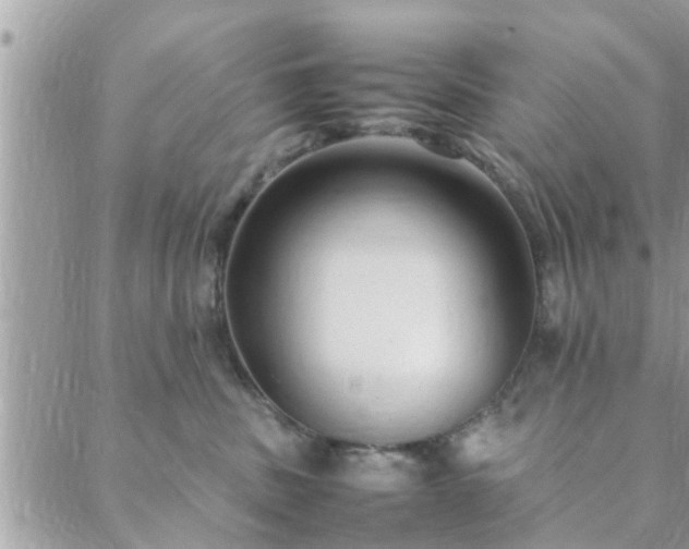 X0000088580379200706011119