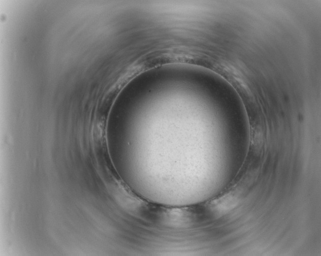 X0000088580382200706011119