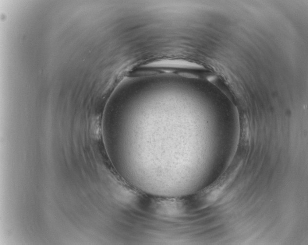 X0000088580383200706011119