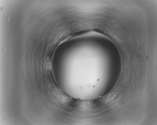 X0000088580384200706011119