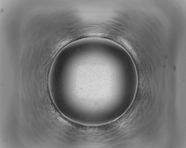 X0000088580385200706011118