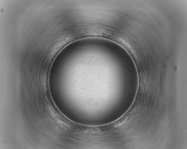 X0000088580386200706011118