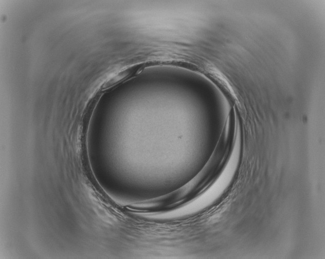 X0000088580387200706011118