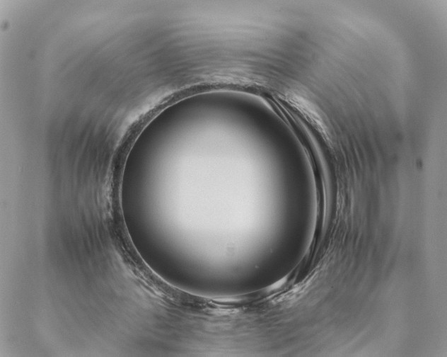 X0000088580388200706011118