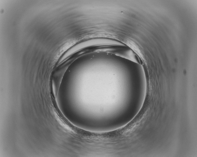 X0000088580389200706011118